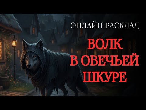 Видео: ВОЛК В ОВЕЧЬЕЙ ШКУРЕ: ЭТОМУ ЧЕЛОВЕКУ НЕЛЬЗЯ ДОВЕРЯТЬ!