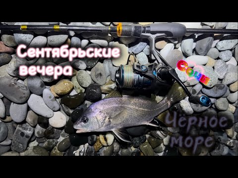 Видео: Ночь на Черном море. Кто клюнет следующим? Отводной поводок против горбыля, скорпены и ласкиря #рыба