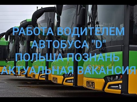 Видео: Работа водителем автобуса кат.  D в Польше (г.Познань), актуальная вакансия