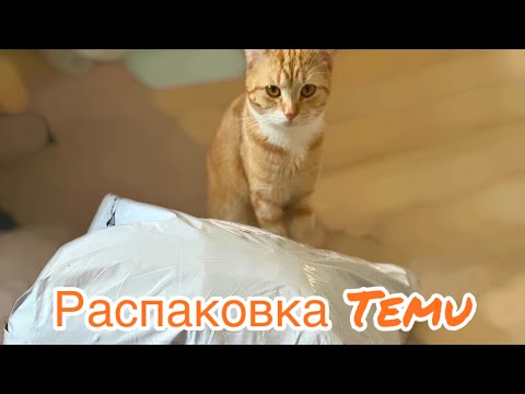 Видео: Бюджетные находки с Temu до 10€ , которые меня удивили
