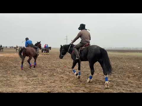Видео: Эльдар шабандоз Жуалы 28.03.25