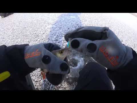 Видео: Відкрив лід  2023 на МІКРОН