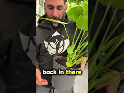 Видео: Червь падает в открытый космос!