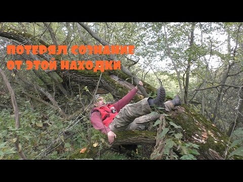 Видео: КОГДА УВИДЕЛ ЧТО ОТКОПАЛ УПАЛ В ОБМОРОК. ТАКОЕ НАЙТИ ЭТО БОЛЬШАЯ УДАЧА.