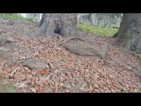 Видео: Про горы