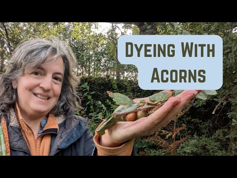 Видео: Медленная жизнь в Уэльсе | Сбор желудей и натуральное окрашивание шерсти