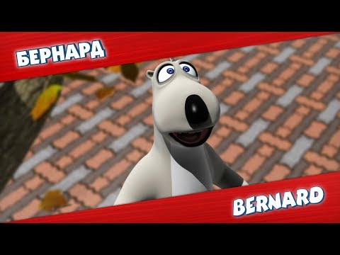 Видео: БЕРНАРД: Воздушный шар и многое другое | Подборка серий