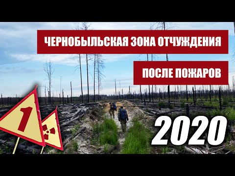 Видео: Чернобыльская Зона Отчуждения после пожаров 2020. Часть1