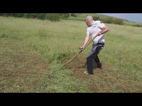 Видео: Шөп шабу. Асарлату.