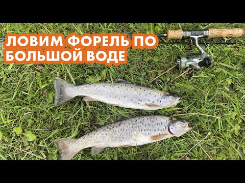 Видео: Рыбалка на форель Кыргызстан 2021 ! Сезон большой воды ! Кокомерен .