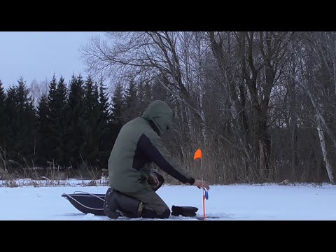 Видео: Рыбалка на ЖЕРЛИЦЫ! Рыбалка в Беларуси!