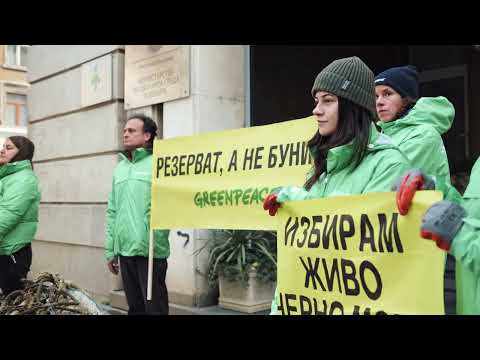 Видео: Резерват, а не бунище: акция на „Грийнпийс“ – България в Деня на Черно море