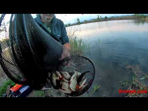 Видео: Херабуна срещу индикаторчета на езерото "Мазното" във Враждебна