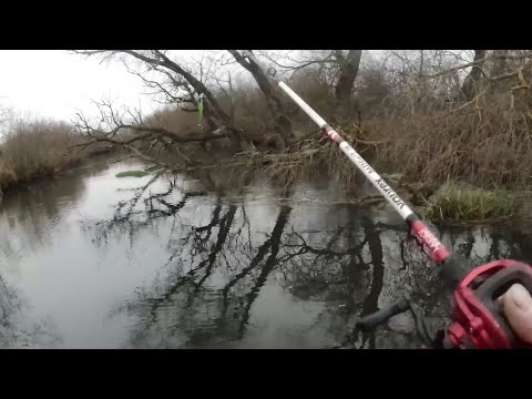 Видео: Закрываю сезон сплавом по малой реке. Где же ты осенний жор?