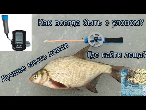 Видео: Как и где ловить много подлещика зимой 2022? Мой опыт.