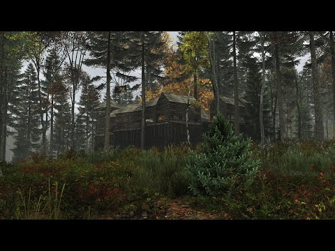 Видео: Самая уютная база в лесу / Лесная база, выживание в dayz