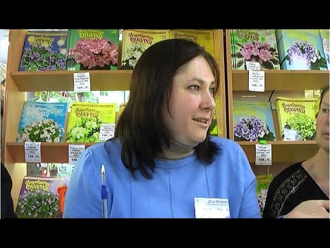 Видео: ДФ. Сенполии от черенка до детки. М.Резанкова