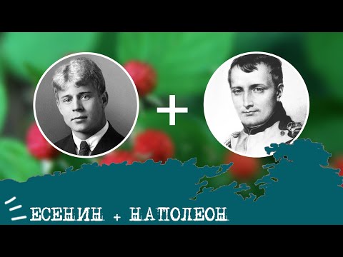 Видео: Есенин (ИЭИ, INFP) + Наполеон (СЭЭ, ESFP), анализ отношений