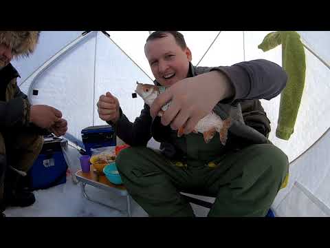 Видео: Рыбалка в Караганде 2021!ЖОР ВЕСЕННЕЙ РЫБЫ, ЛЕСКА ТРЕЩИТ!!!