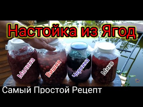 Видео: Настойка из Ягод.Самый Простой и Вкусный Рецепт!!!