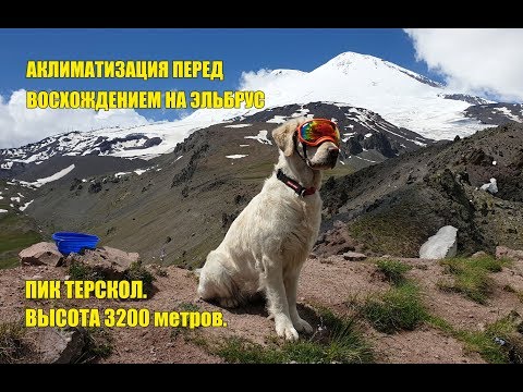 Видео: Подъем с собакой на пик Терскол к обсерватории. Классический маршрут восхождения на Эльбрус