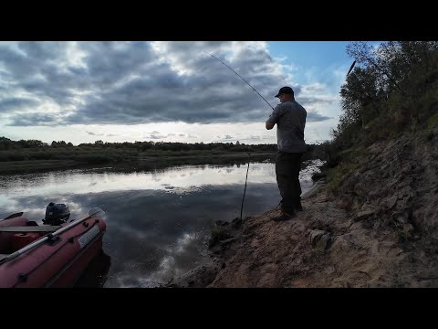 Видео: Рыбалка в августе с ночевкой на реке Сысола/ Снова без трофея