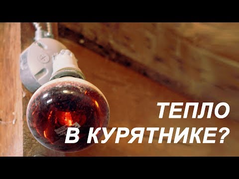 Видео: ТЕПЛО В КУРЯТНИКЕ. Способы обогрева в зимний период. Особенности содержания несушек зимой.