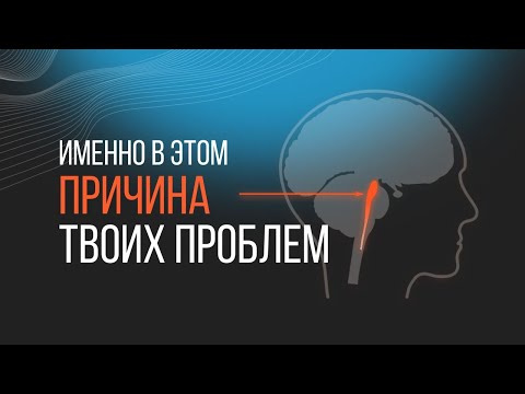 Видео: Как не БЕСПОКОИТЬСЯ самостоятельно?