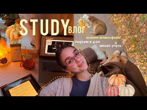 Видео: 📖study влог // дни в университете, подъем в 4:20, осеняя атмосфера 