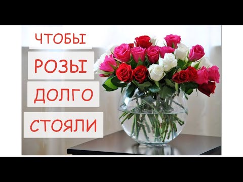 Видео: ЧТОБЫ РОЗЫ ДОЛГО СТОЯЛИ В ВАЗЕ. Волшебное средство для срезанных цветов