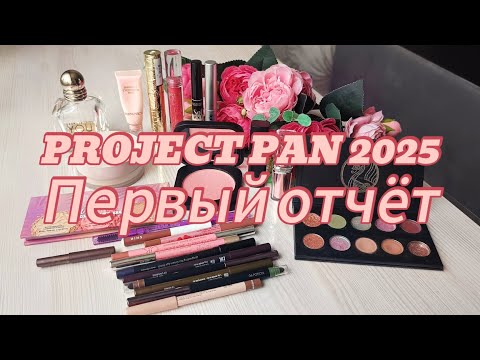 Видео: Project pan 2025. Первый отчёт.
