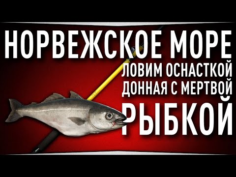 Видео: Норвежское море • Оснастка "Донная с мертвой рыбкой" • Русская Рыбалка 4