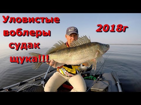 Видео: Самые уловистые воблеры для ловли судака и щуки !!!