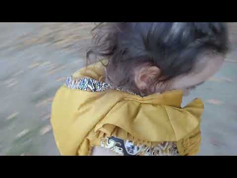 Видео: 30 октября 2025 г.