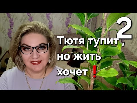Видео: Тютя тупит, но жить хочет❗️