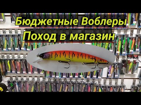 Видео: Бюджетные Воблеры. Где приобретаю.Экскурсия в рыболовный магазин.