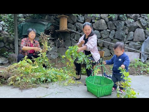 Видео: Йике 15 месяцев, она может плакать, стесняться и помогать на ферме.