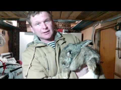 Видео: В гостят у Витали