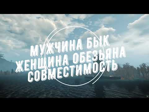 Видео: Совместимость мужчина Бык и женщина Обезьяна