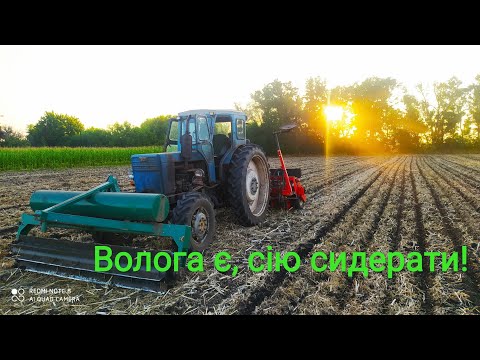 Видео: Забракував я оранку// Запускаю прямі посіви!!