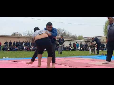 Видео: Наврӯз 2023с Зарафшон гӯштин (13)паҳлавон аз ҳуш рафт😱😱😱😱