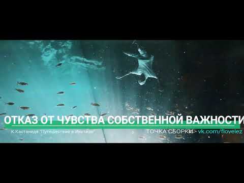 Видео: 2 - "Отказ от чувства собственной важности" (Карлос Кастанеда  - Путешествие в Икстлан)