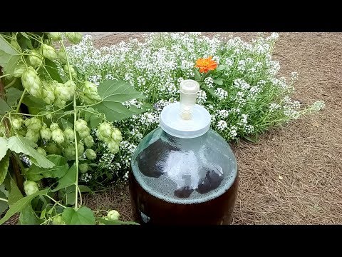 Видео: Варим пиво старым проверенным простым способом