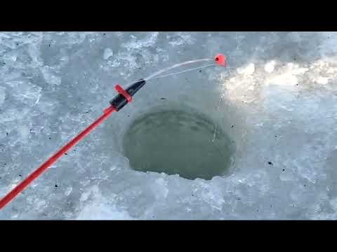 Видео: ТОЛЩИНА ЛЬДА ! Рыбалка . Лазурный берег. Капшагай . 10 .01.2025.#капчагай#алматы