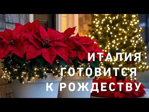 Видео: 22 октября 2025 г.