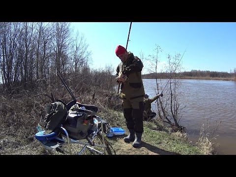 Видео: В ПОИСКАХ ВЕСЕННЕГО ЛЕЩА И БЕРША) ПОНТОННЫЙ МОСТ. ОТКРЫТИЕ ВЕСЕННЕГО СЕЗОНА. БЕРШ НА ТЮЛЬКУ.РЕКА ИЖ