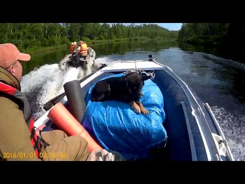 Видео: Архара - Гонгор