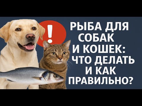 Видео: Рыба для собак и кошек, допустимые количества в рационе, как часто кормить. Не допускайте ошибок.
