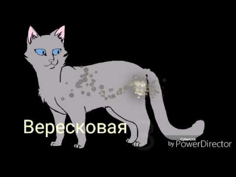 Видео: Предводители Племени Ветра