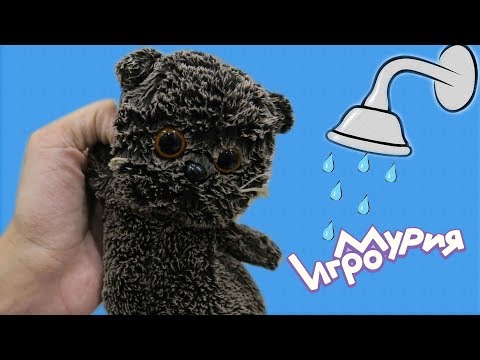 Видео: КАК ПОСТИРАТЬ БАСИКА ПО-ЧЕЛОВЕЧЕСКИ // ЧТО СО ШКУРКОЙ!!!!